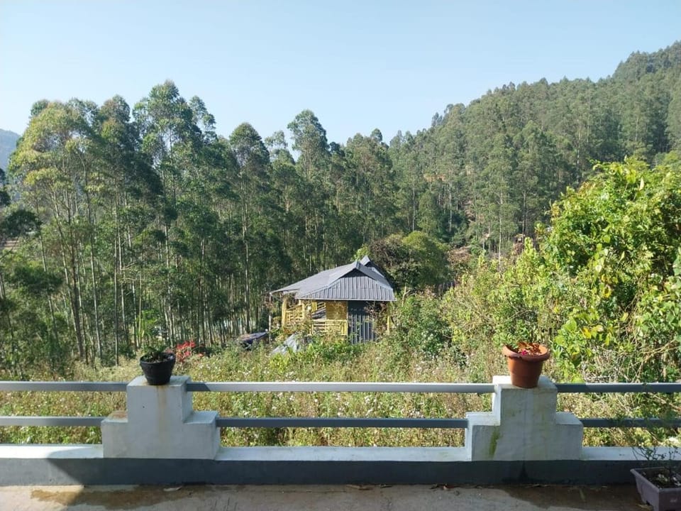Grace villa Homestay House in Kerala