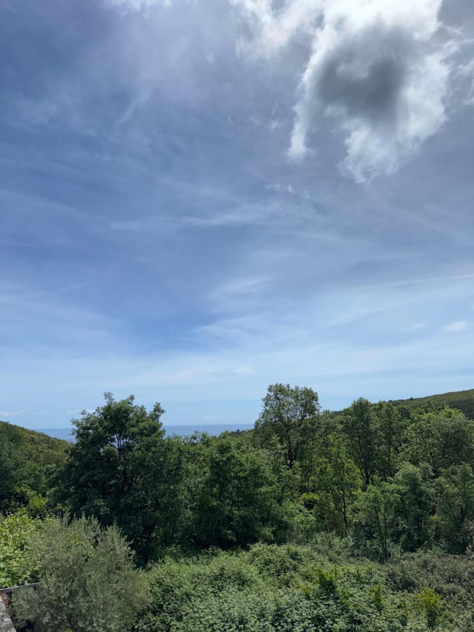 Sea view