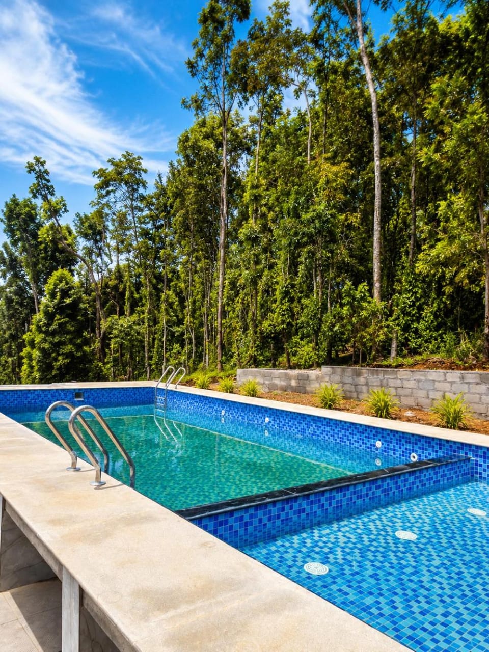 Swimming pool, Swimming pool