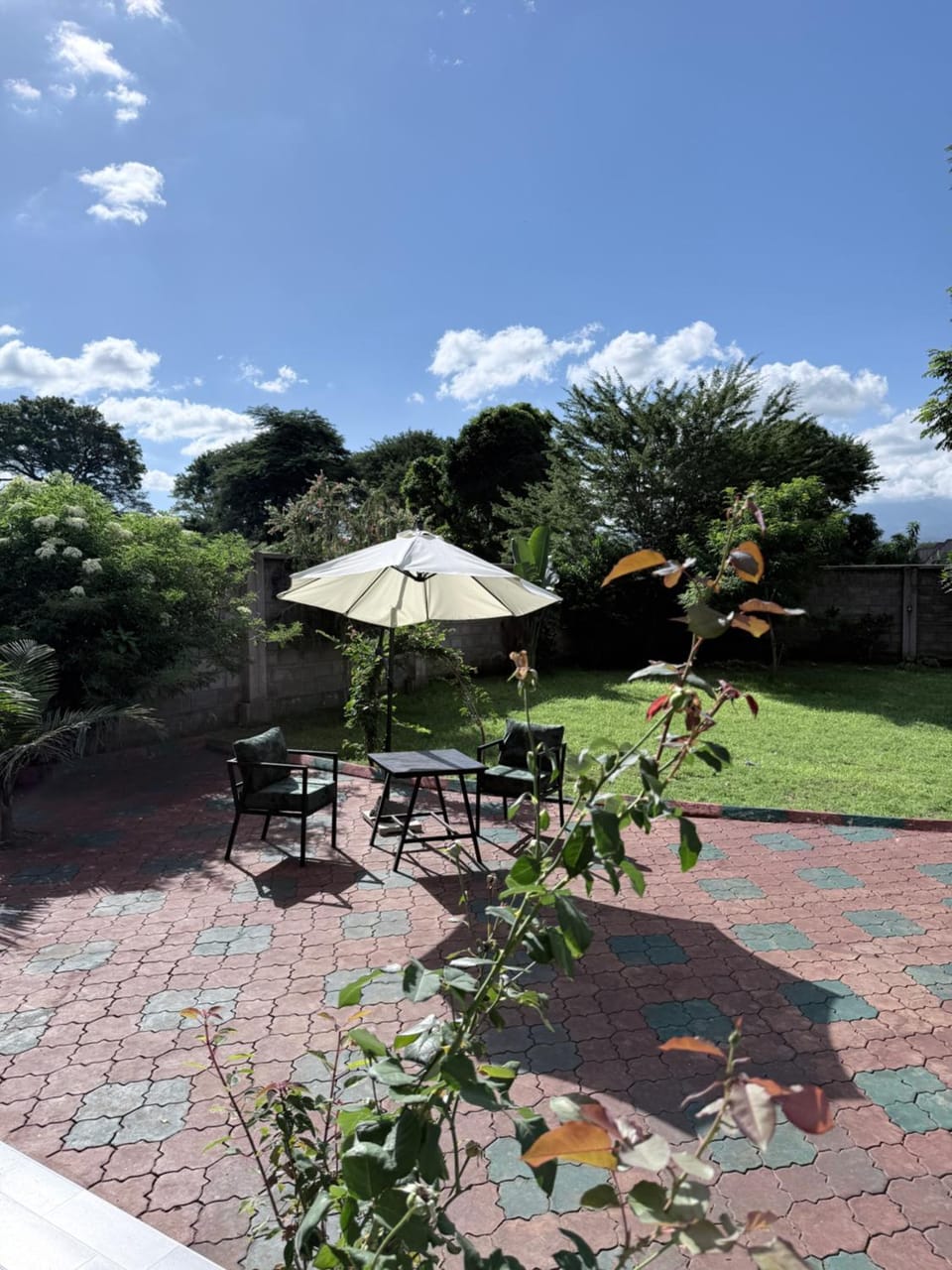 Garden view