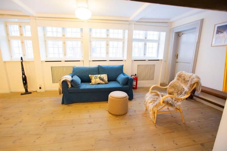 175 sqm manor apt in Nyhavn I 6 prs rare luxury Apartment in Copenhagen