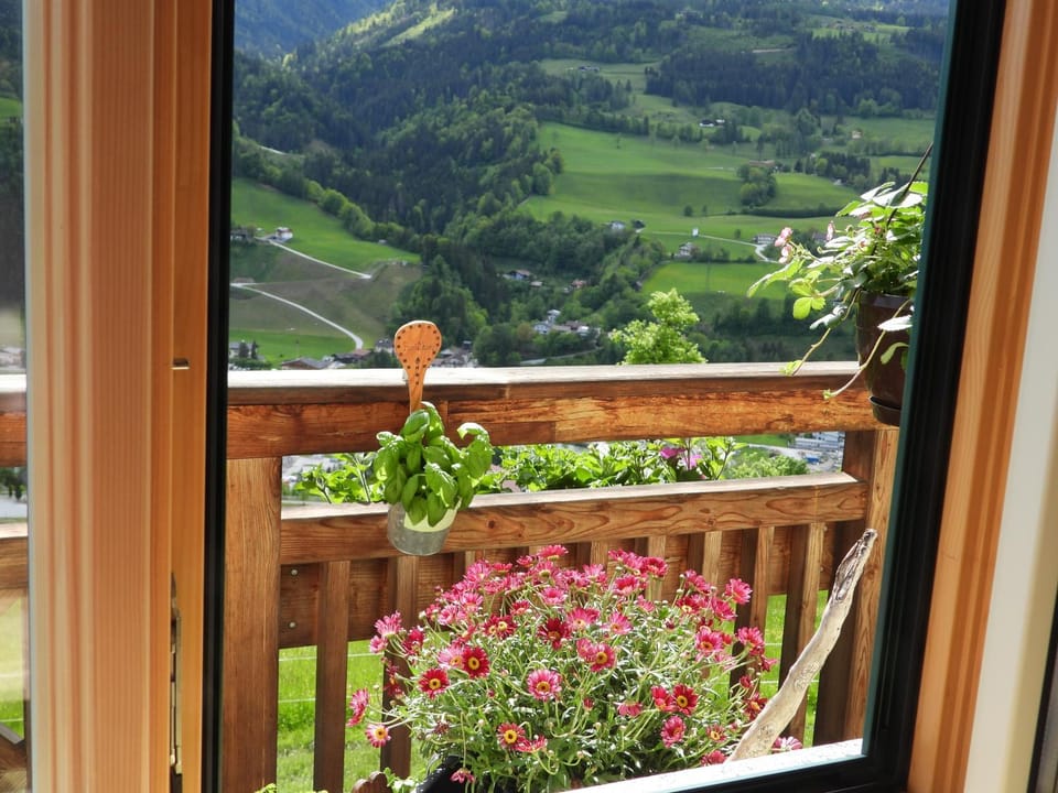 View (from property/room)