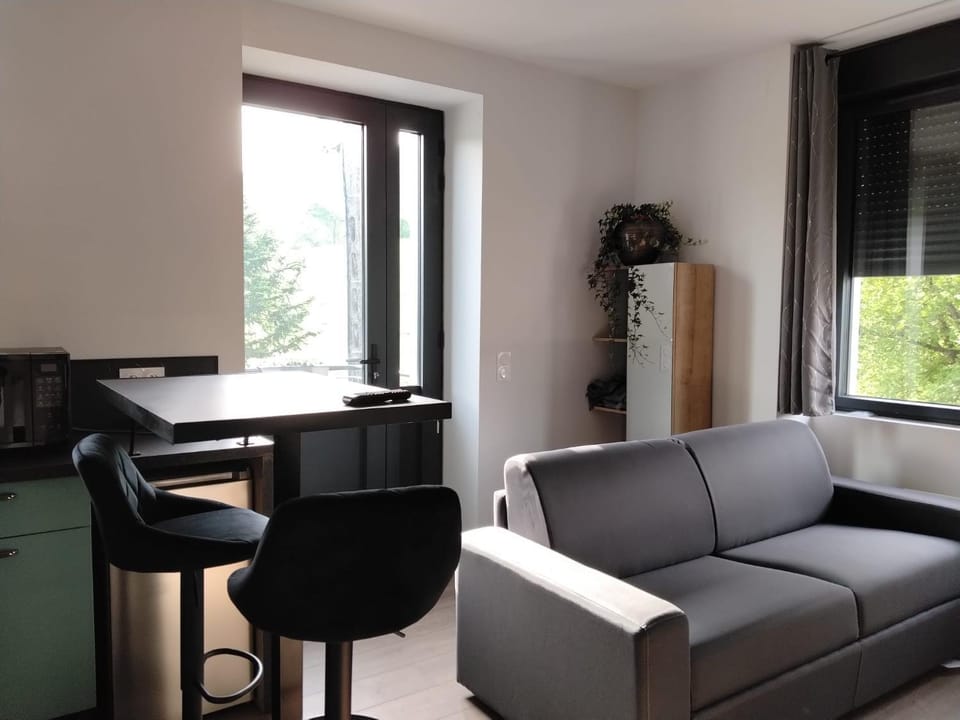 Une pause au pied des Pyrénées Apartment in Nouvelle-Aquitaine