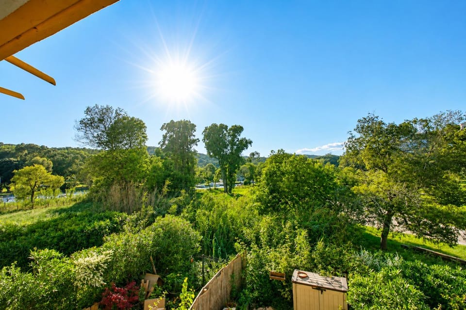 Garden view