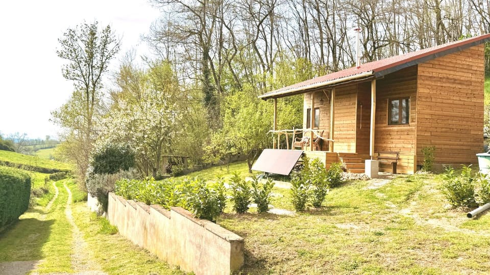 Property building, Day, Garden