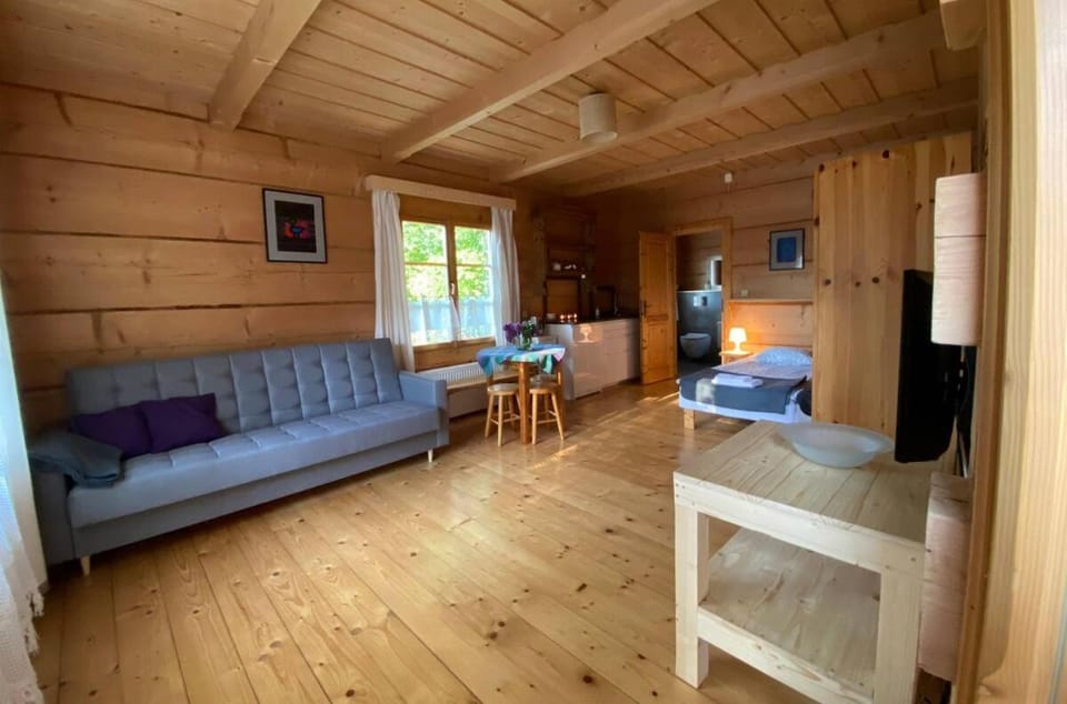 Dom Numer 3 Apartment in Zakopane