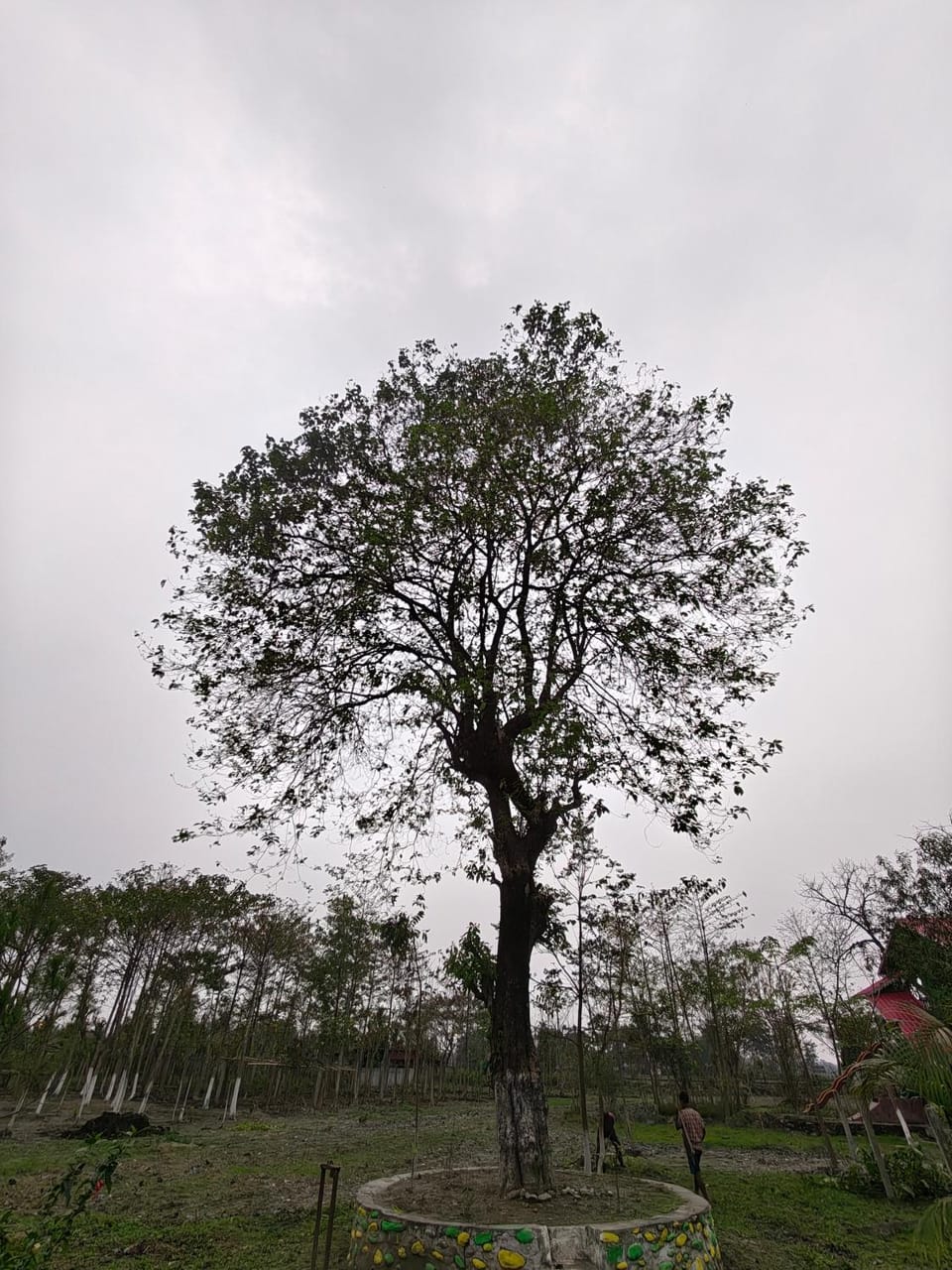 Natural landscape