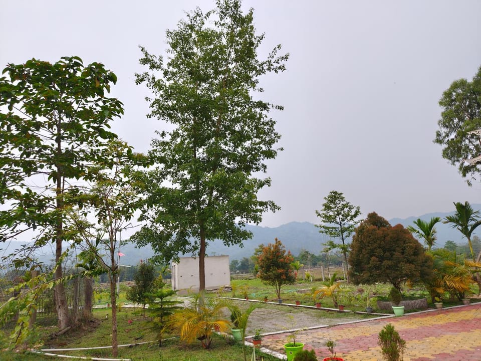Mountain view