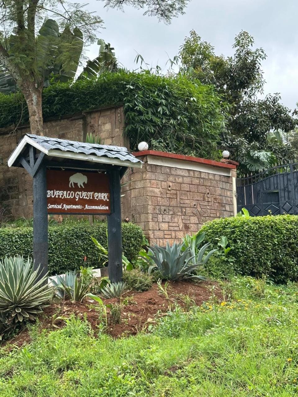 Buffalo Guest Park Bed and Breakfast in Kenya
