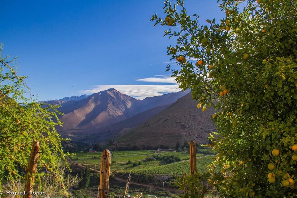 Natural landscape