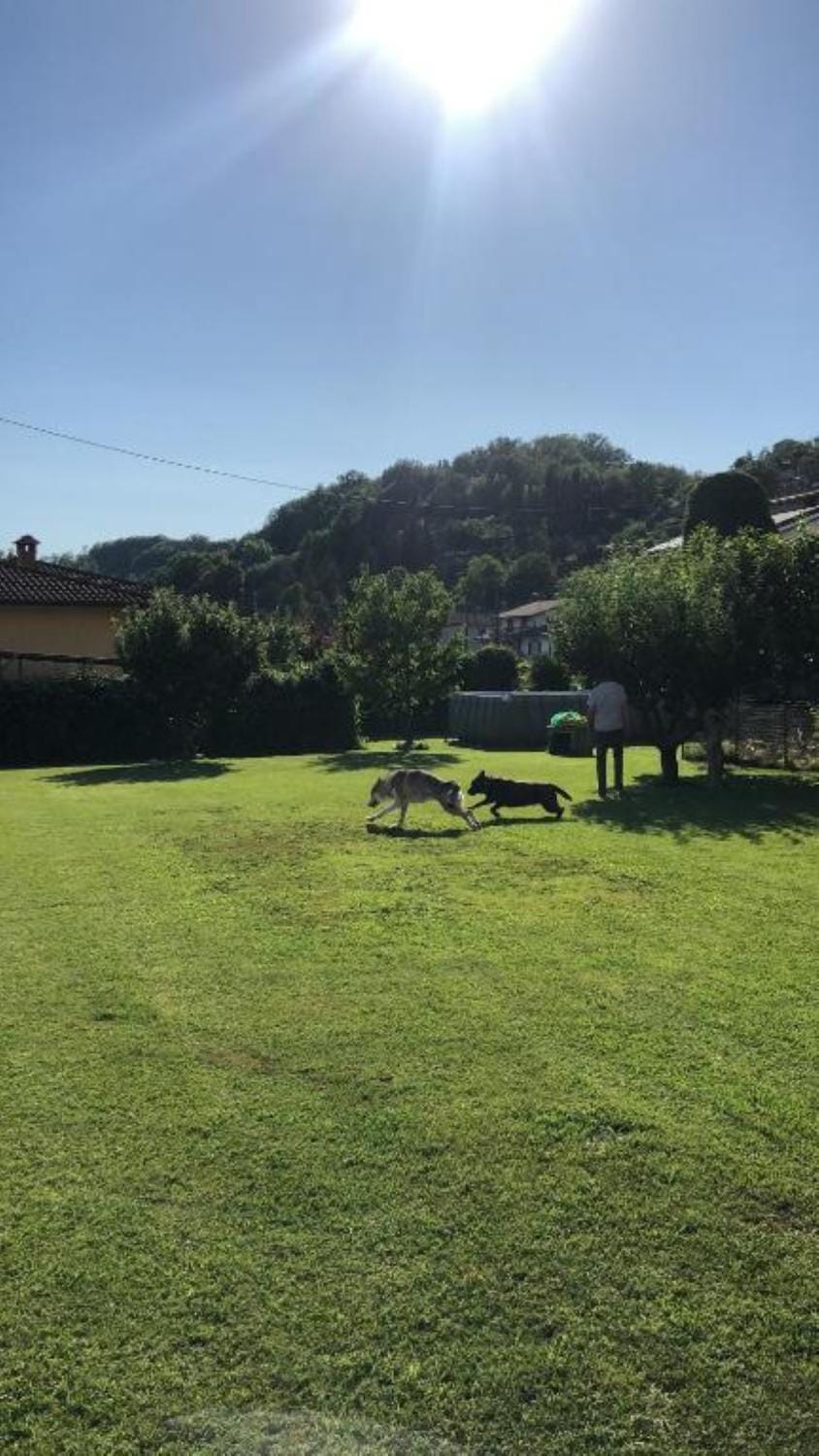 affittacamere casaGiarelli&Battistini Bed and Breakfast in Province of Massa and Carrara