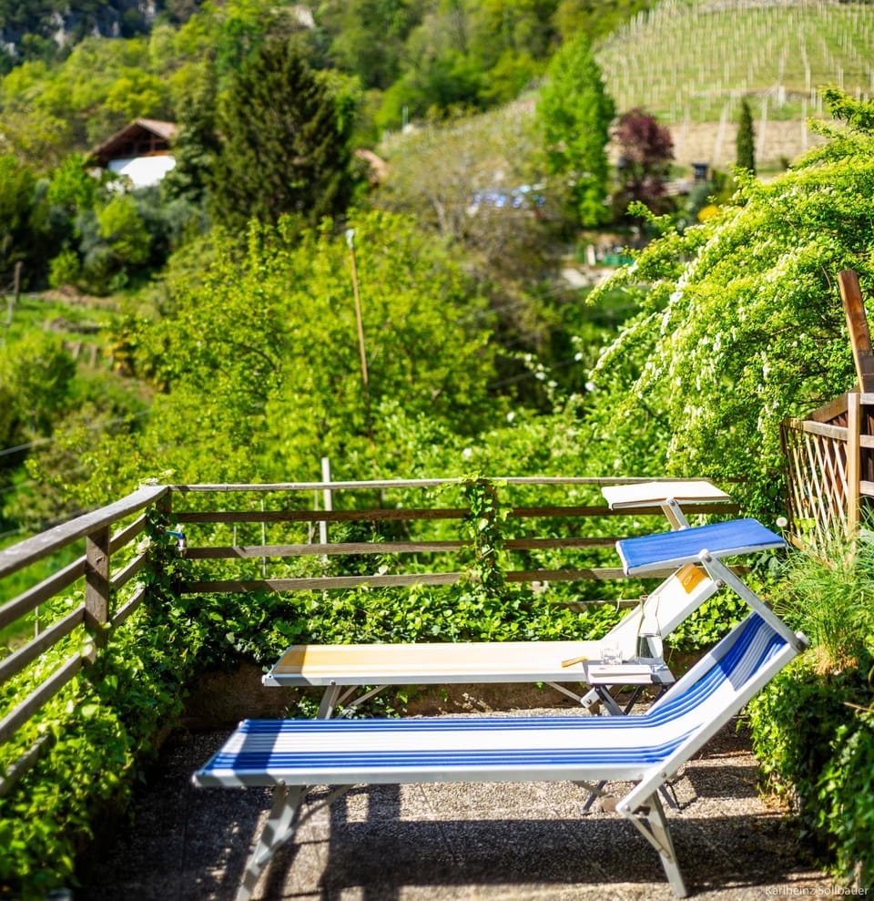 Balcony/Terrace, Garden view, sunbed