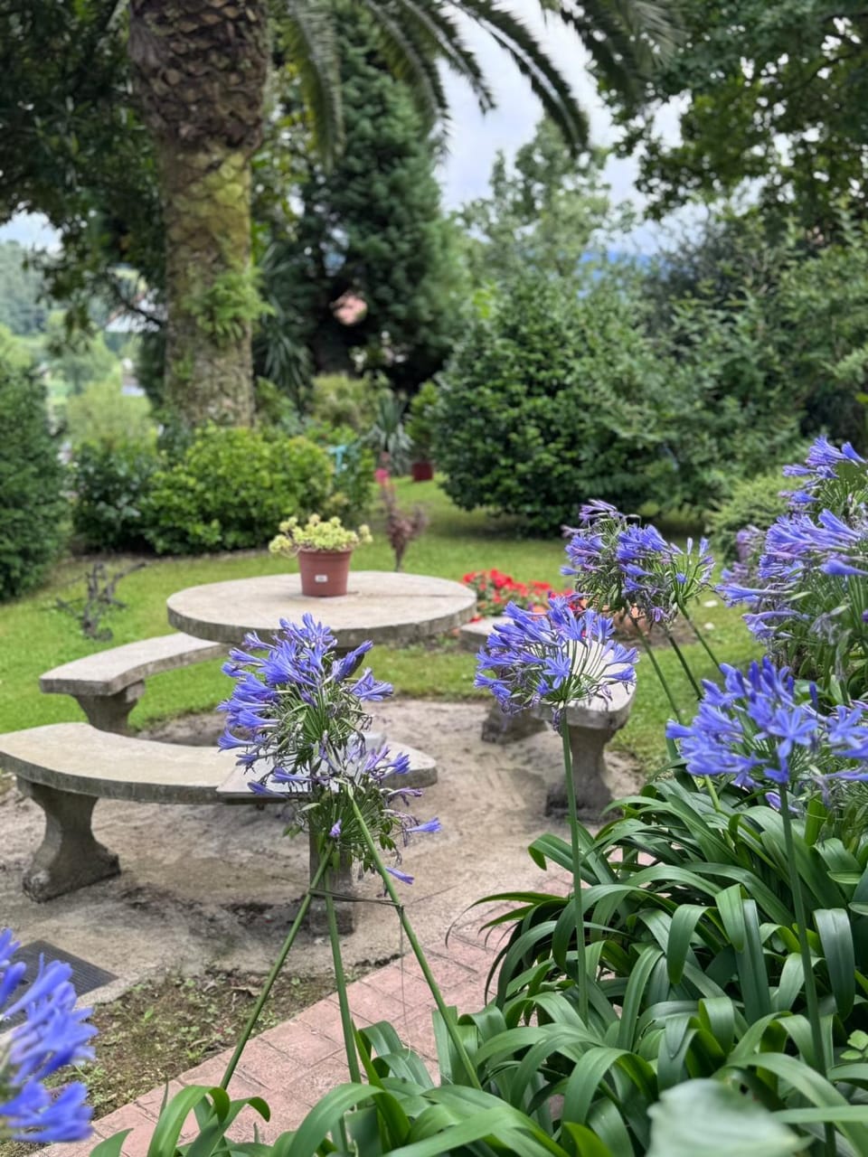 Apartamentos El Valle Apartment in Western coast of Cantabria