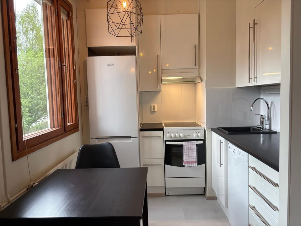 Kitchen or kitchenette, Dining area, dishwasher, oven, stove