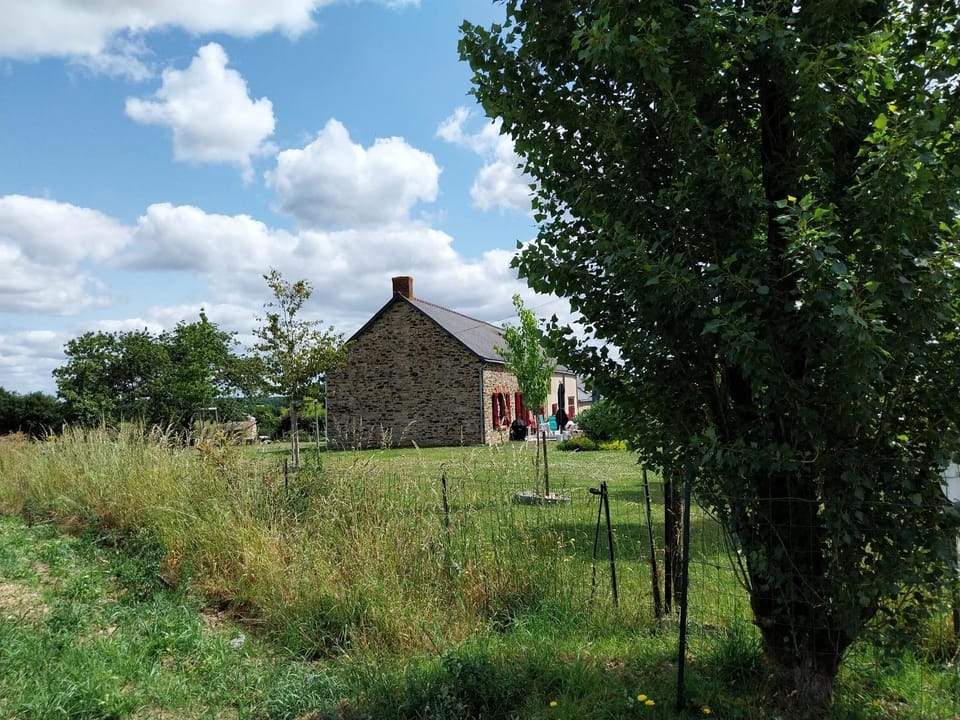 Property building, Garden, Garden view