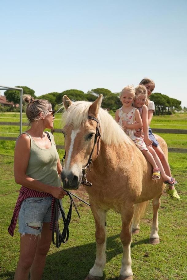 salicornia Bed and Breakfast in Cavallino-Treporti