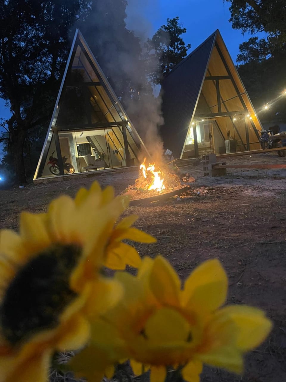 Chalés parada ideal Nature lodge in State of Rio de Janeiro