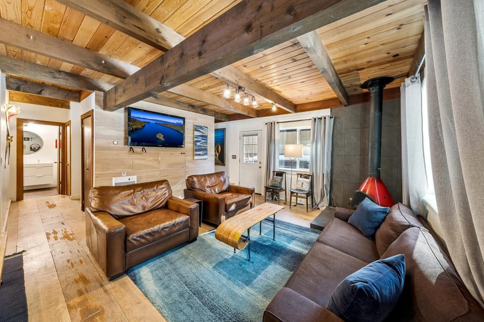 Day, TV and multimedia, Living room, Seating area, fireplace, furniture