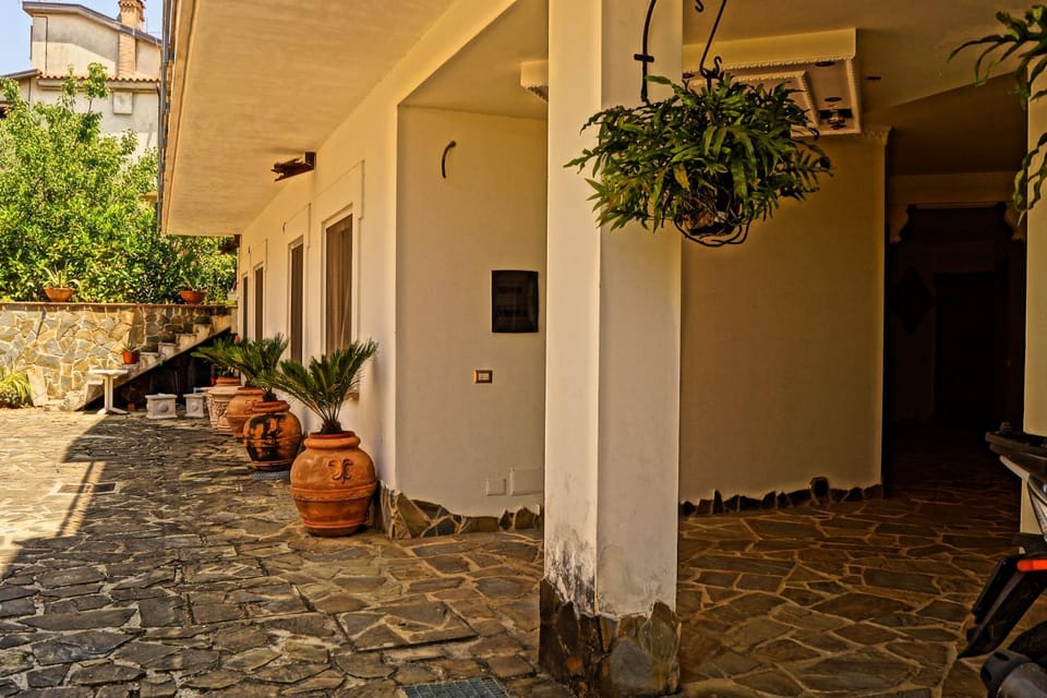 Facade/entrance, Garden