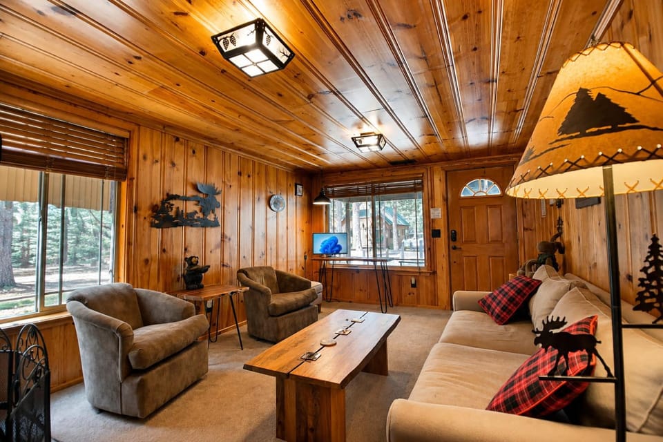 Day, TV and multimedia, Living room, Seating area, furniture