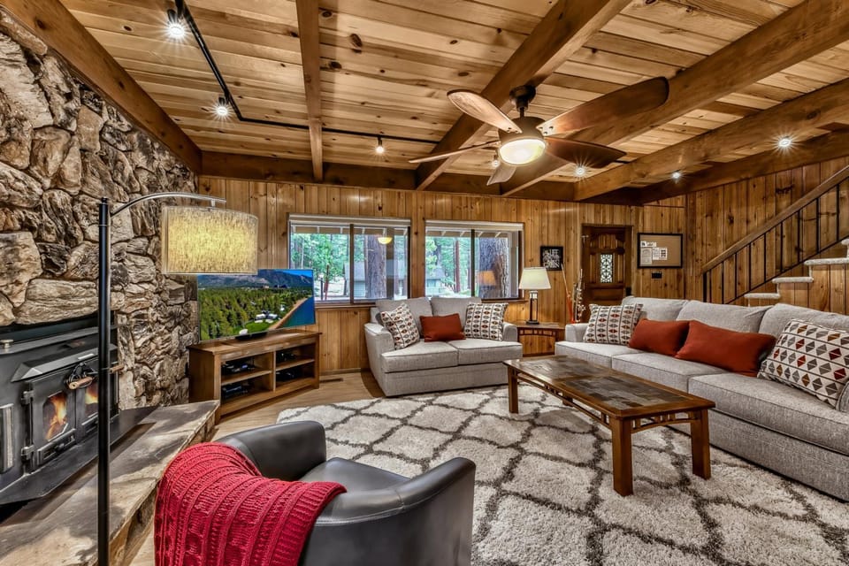Day, TV and multimedia, Living room, Seating area, fireplace, furniture