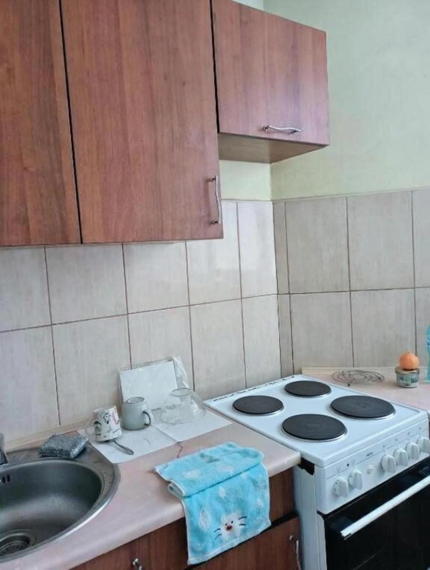 Botanic peace Apartment in Chișinău