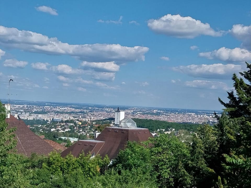 Garden, City view