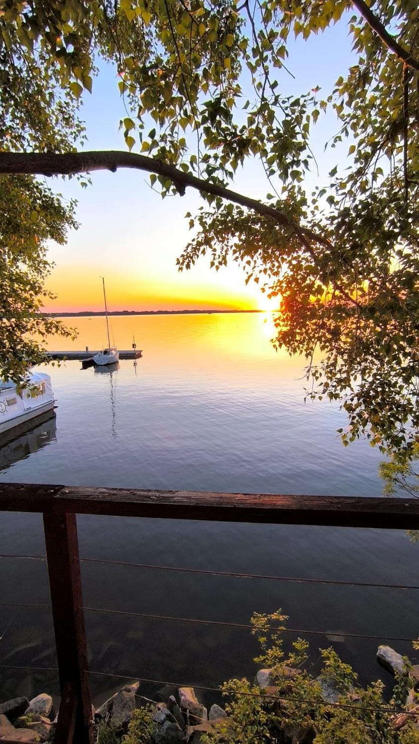 The Marina Treehouse Nature lodge in Bratislava