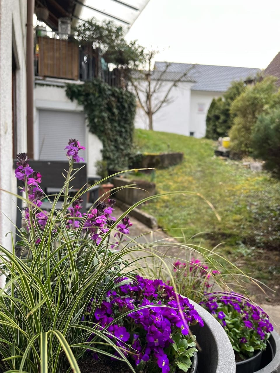 Spring, Garden, Garden view