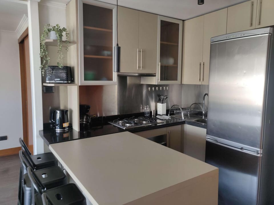 Providencia Apartment Modern Balcony Sleeps 5 Apartment in Providencia