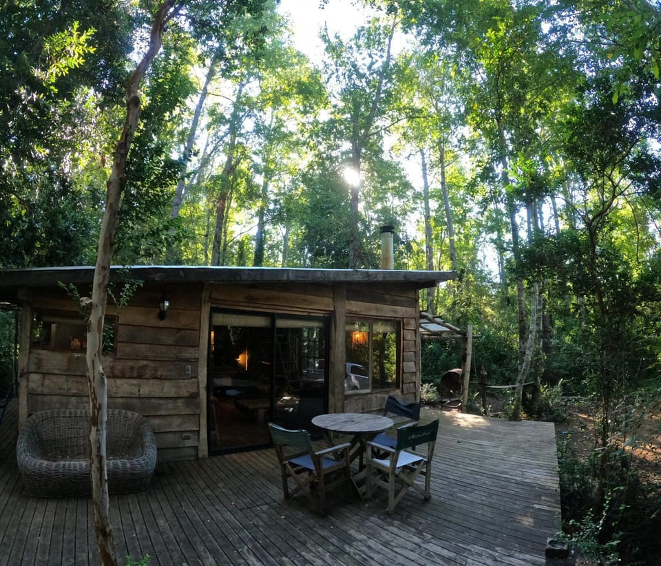 Refugio Nothofagus Chalet in Pucon