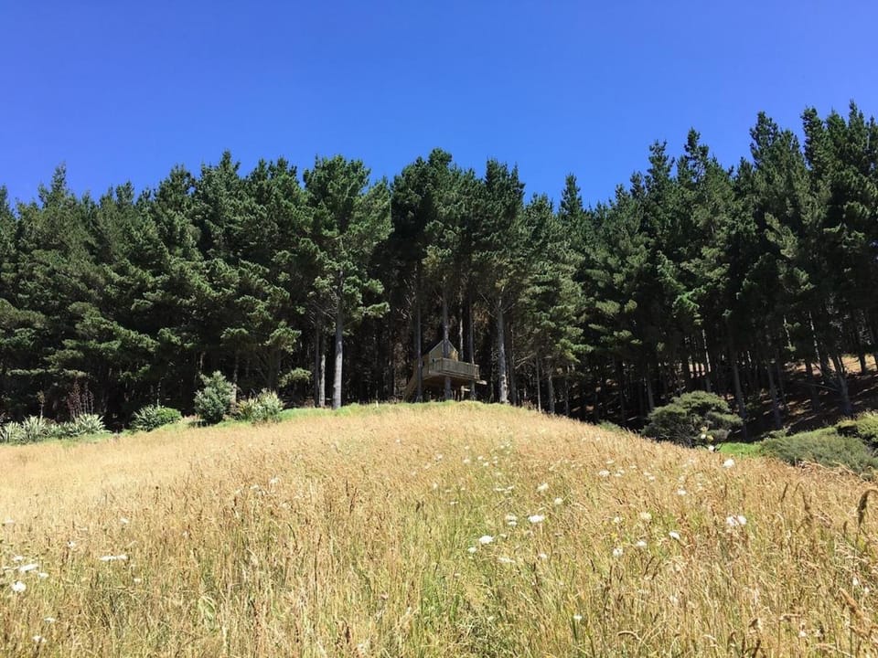 Raglan Tree House in the Woods with Outdoor Bath Chalet in Raglan