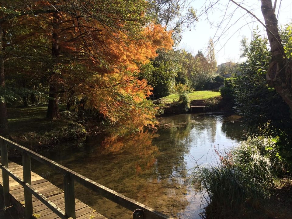 Nearby landmark, Natural landscape, Autumn