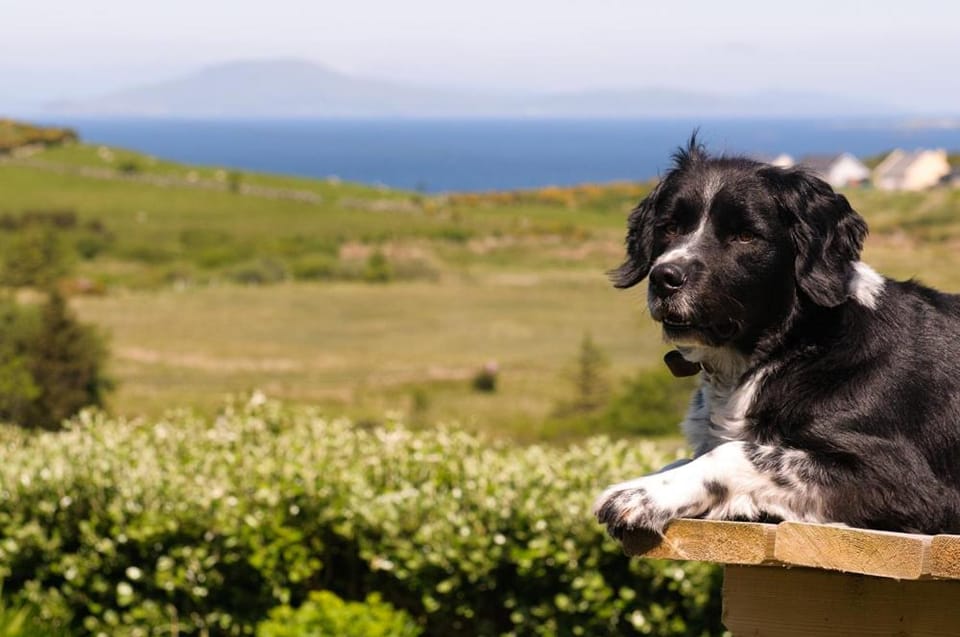The Hut at Baywatch Bed & Breakfast Apartment in County Mayo