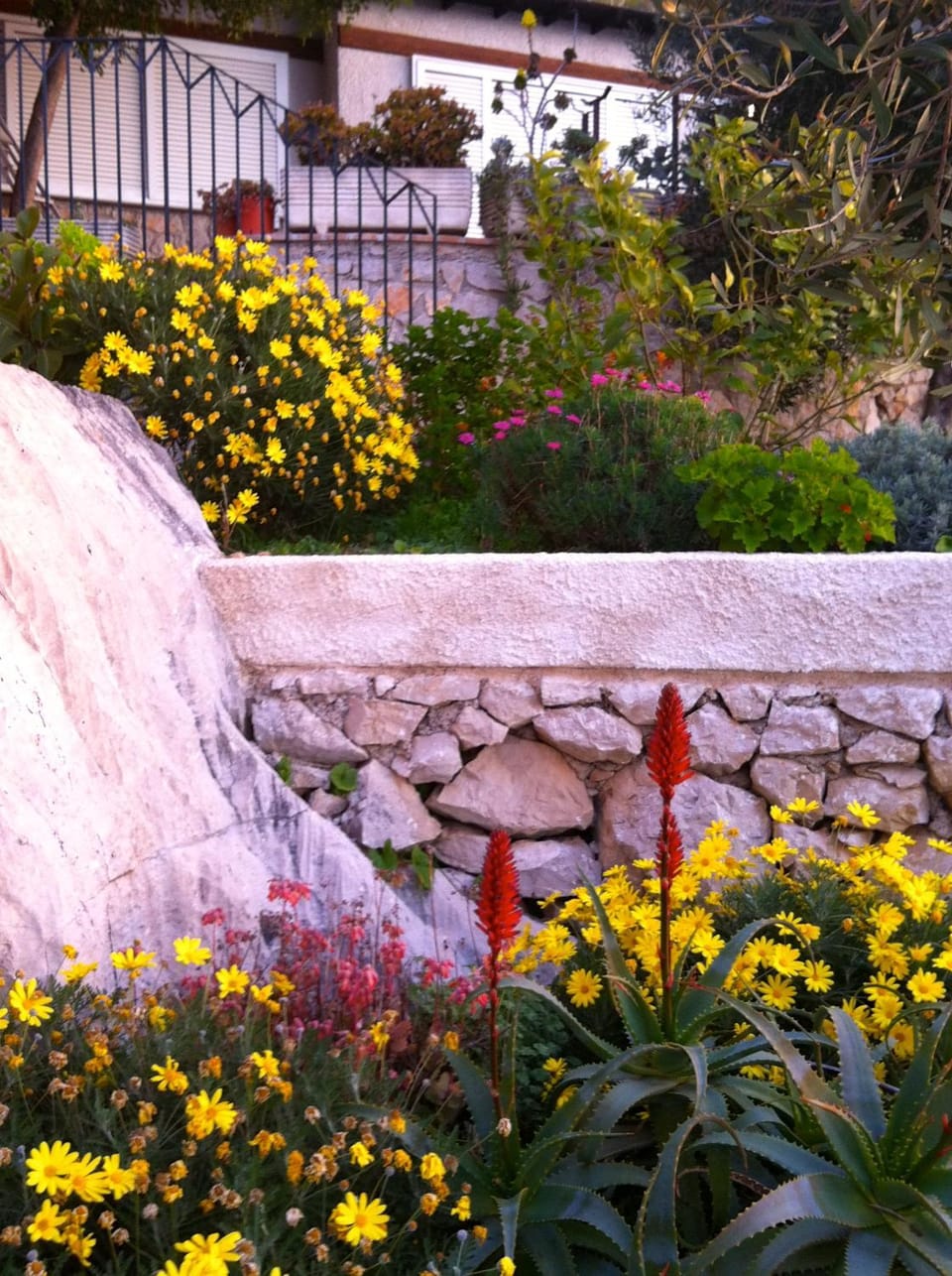 Spring, Day, Garden, Other, Garden view