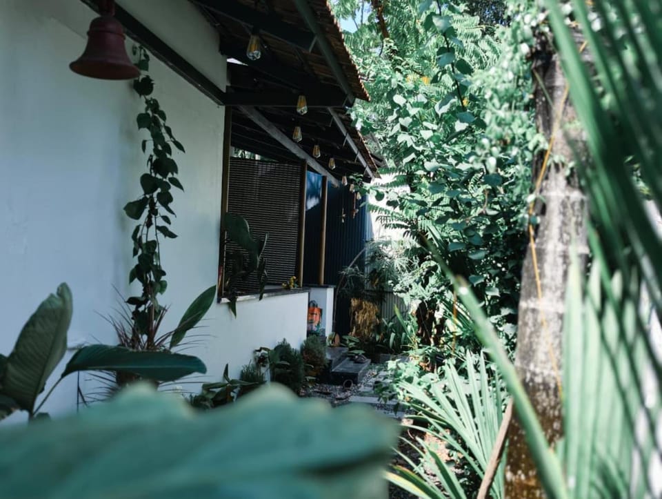 Garden, Garden, Garden view, Garden view