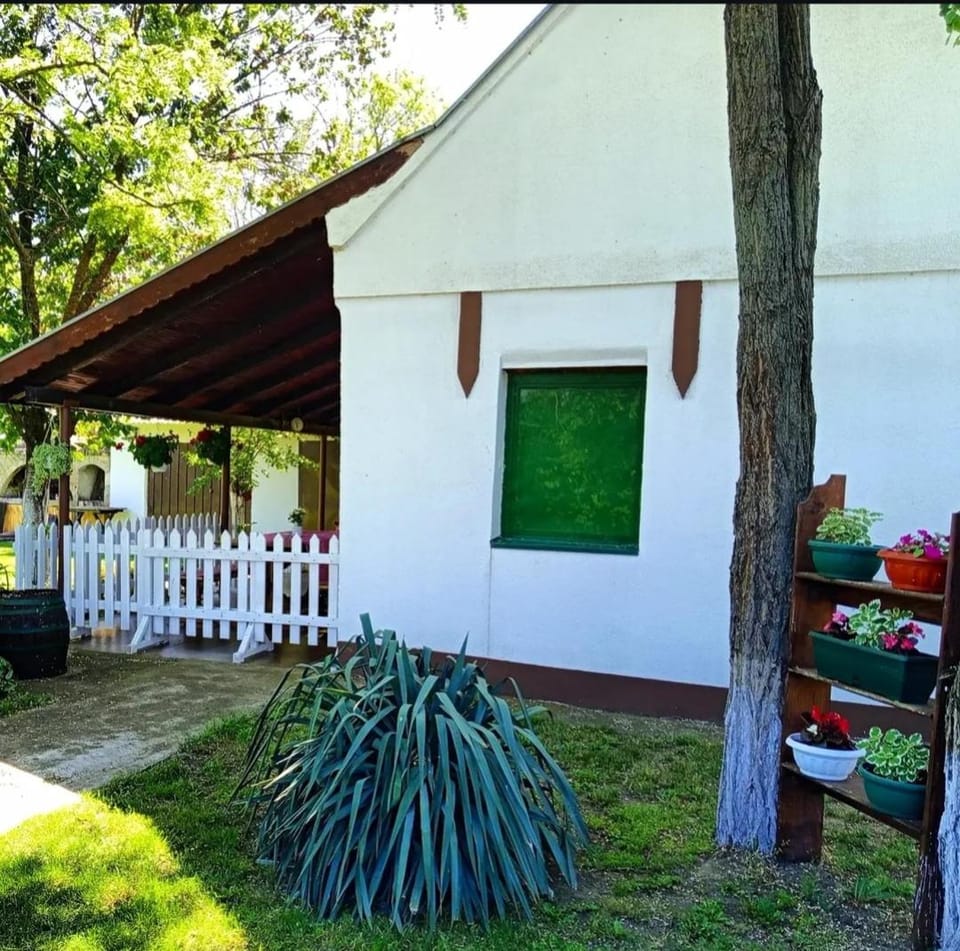 Vikendica Bojanić House in Vojvodina