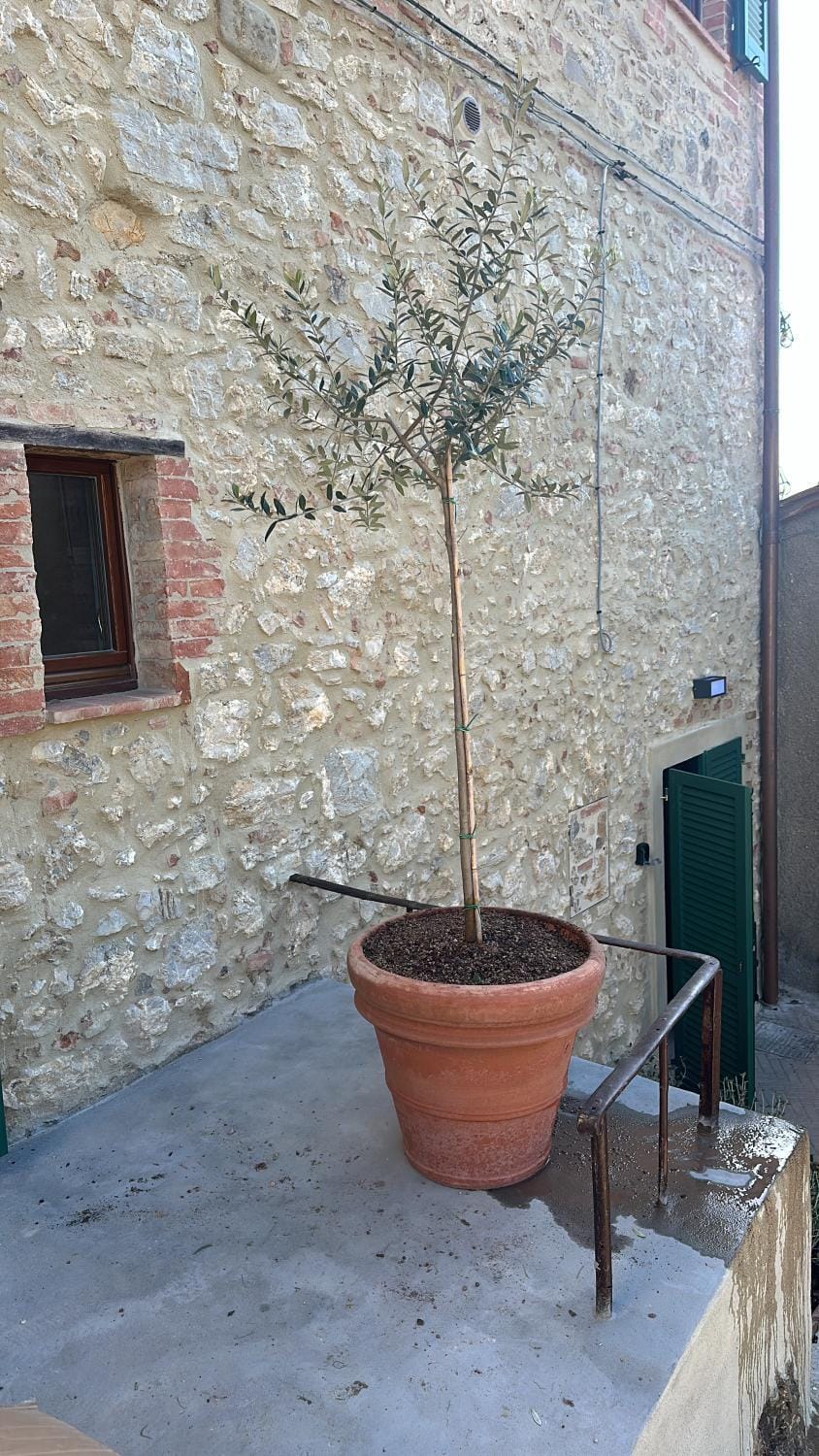 Primo Maggio House in Tuscany
