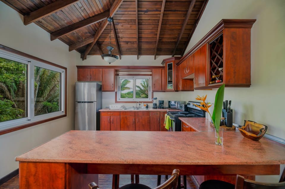 oven, stove, kitchen