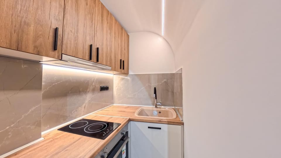 Kitchen or kitchenette, kitchen