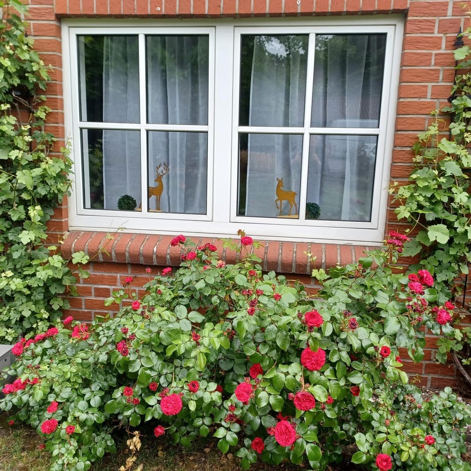 Heideglück Apartment in Walsrode