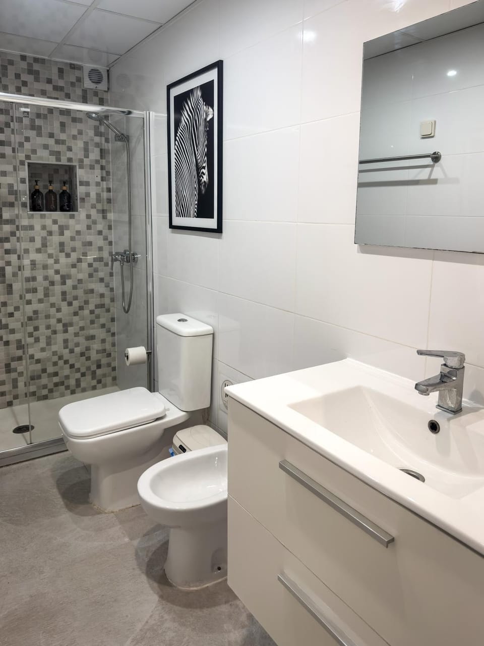 Shower, Toilet, Bathroom, bidet