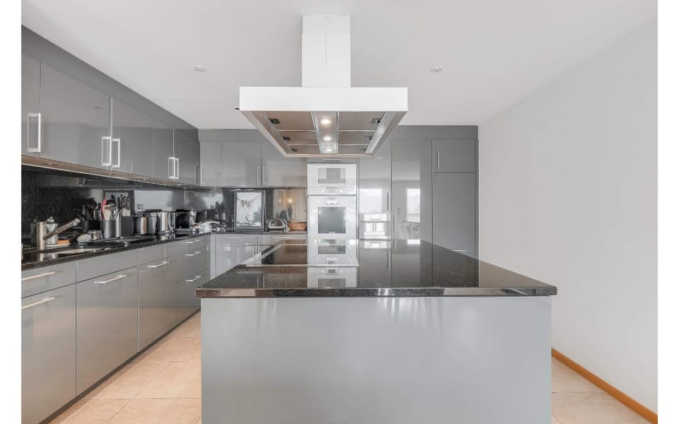 Kitchen or kitchenette, dishwasher, minibar, stove