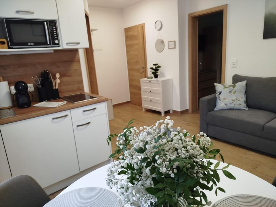 BeLu Home & Őrség Apartment in Hungary
