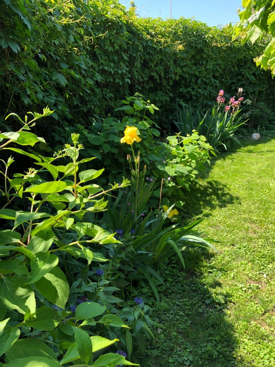 Le Clos Des Fontaines, à 5 mn du lac Apartment in Thonon-les-Bains