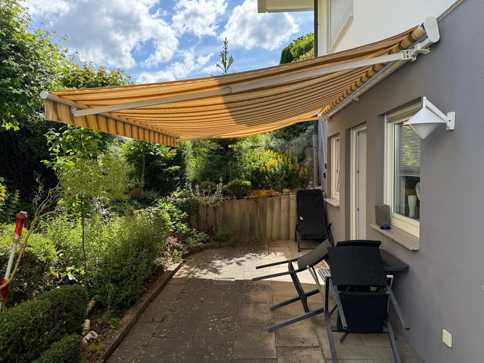 Spring, Garden, Dining area, Garden view