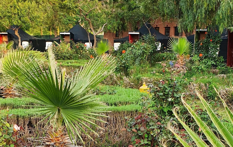 Domaine Couleurs Berbères, Piscine, Vue Atlas, Bivouac & Expériences à Lalla Takerkoust Hotel in Marrakesh-Safi