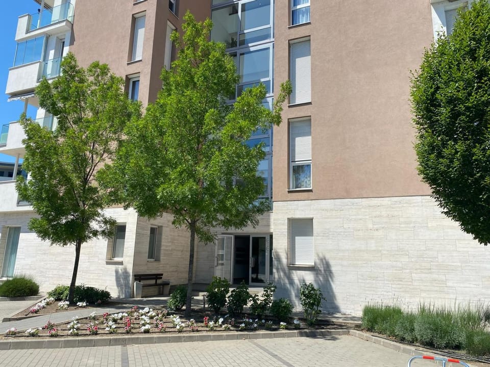 Property building, Garden