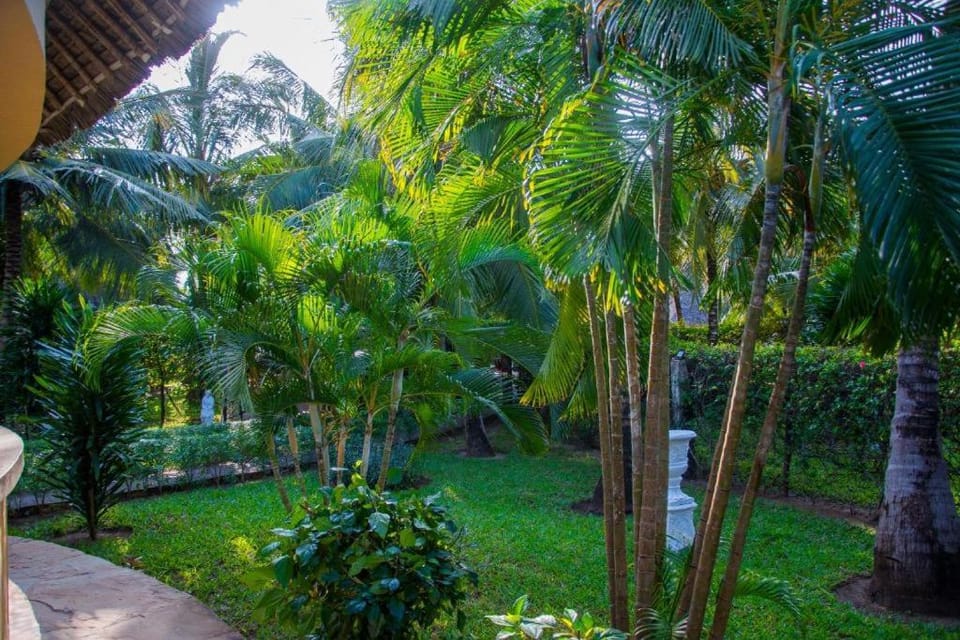 Jumbo Art S Villas Hotel in Diani Beach