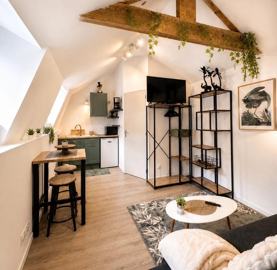 La clef de Jade Apartment in Rouen